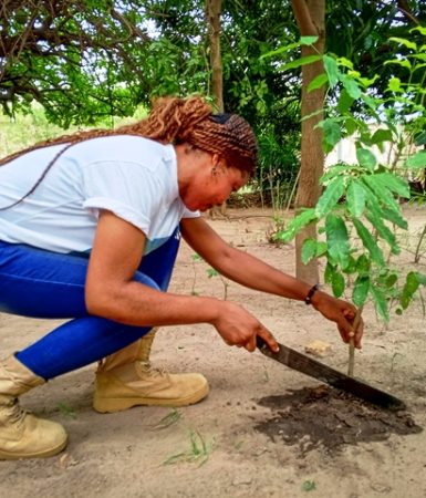 Green Ghana Day (14)